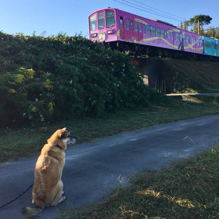 B0b7df80 765a 4c1a 860e d811b31c3c57 1540116531661