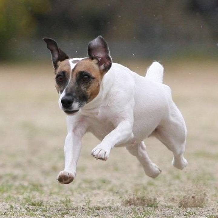 B0b80959 64a9 4acc 90e5 25355857ba0b 1523250645357