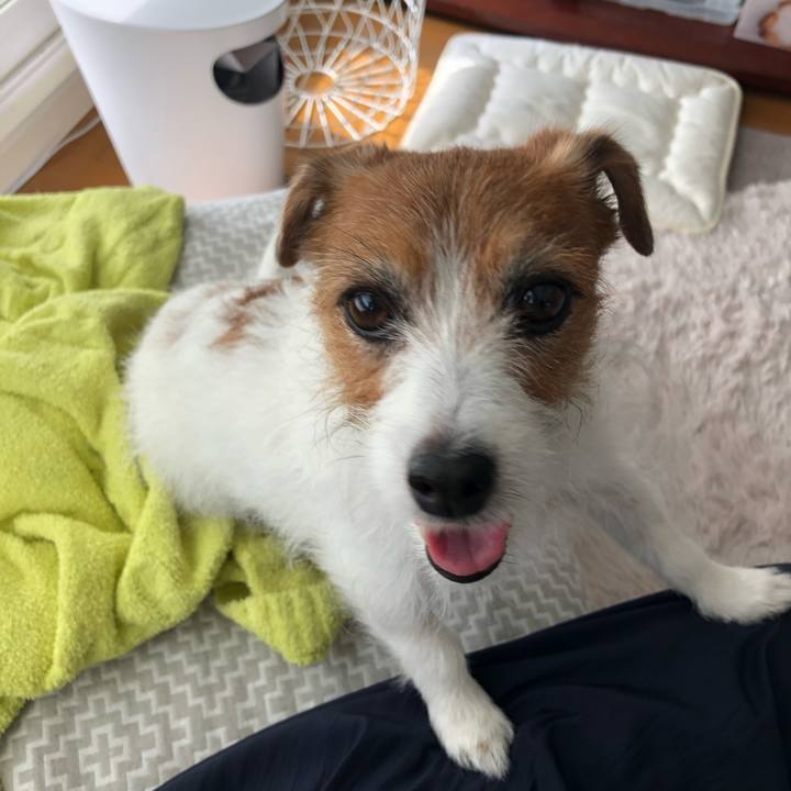 B0b835ef 8360 4f5b b48d 93db0290d1da 1620641232930