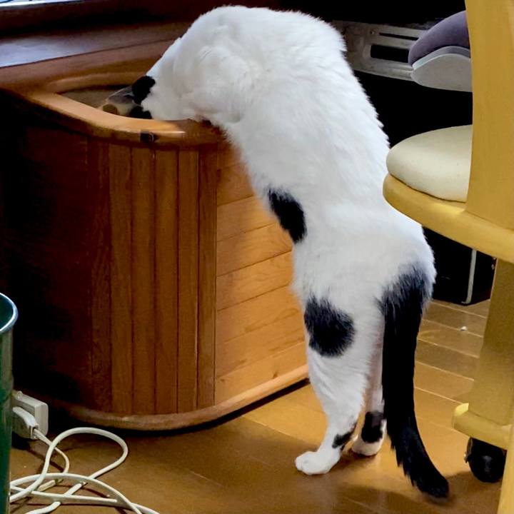 B0b83ad1 f6d6 412b a927 b11152101234 1643344044257