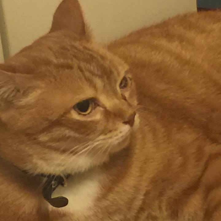 B0b8533e bf94 4686 9f3c 3c83a21bd29d 1555942925572