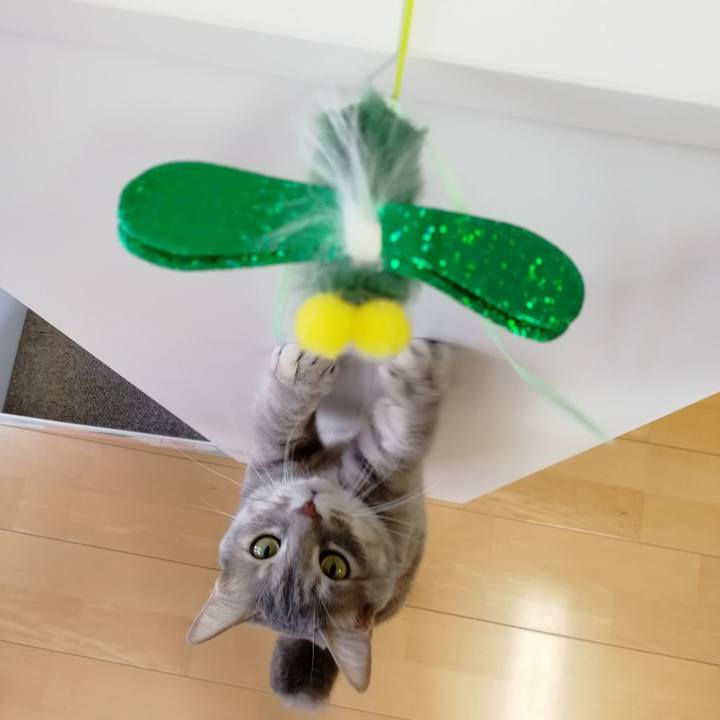 B0b874be e122 4024 8948 6d5a5b3a41ca 1555486405181