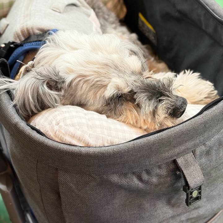 B0b88fdf ed67 442c ac95 739b8b164631 1776247278648