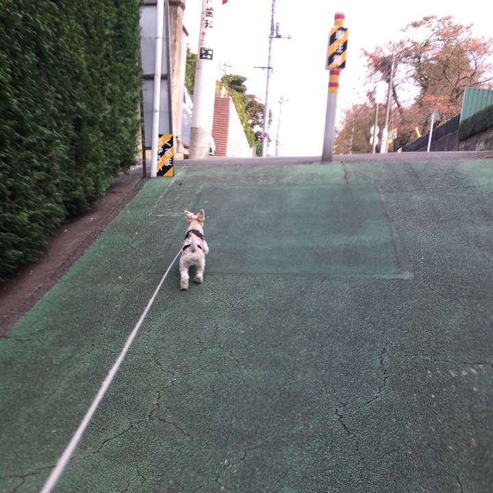 B0b8a466 ba33 4f90 9e5e 78d4549f901c 1542522833189