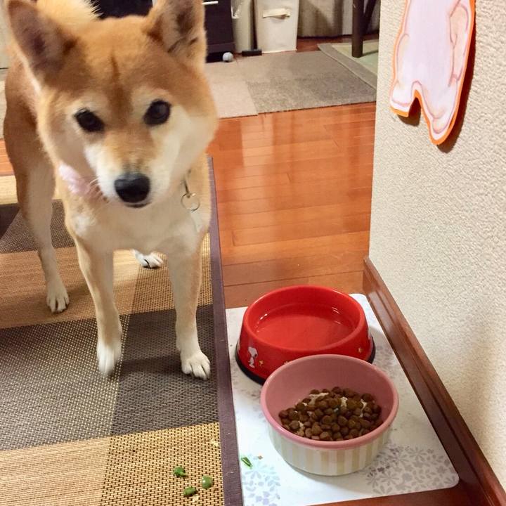 B0b8b7da 63f3 4fcf 94da 15ef67607641 1527118772292