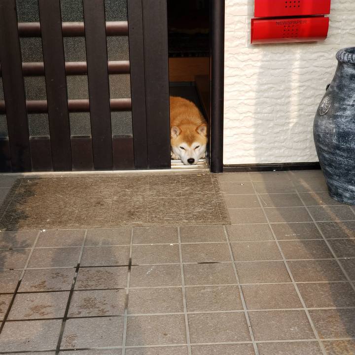 B0b8dd10 1e1e 409e baef 4bcf96b49da5 1564472612697