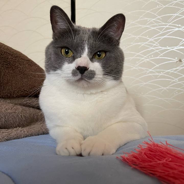 B0b9791b 3066 42a2 8c08 46ad3d5b4960 1661324334359