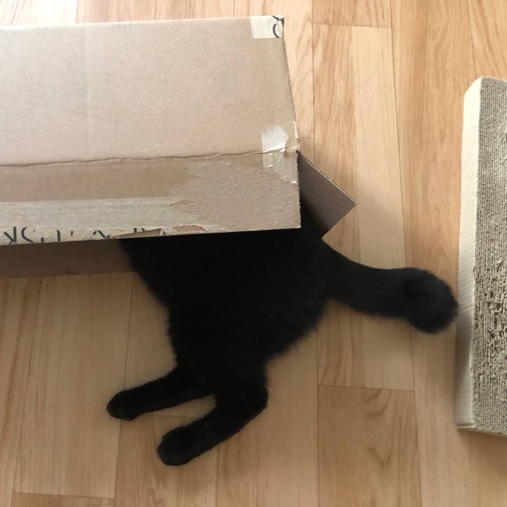 B0b9a078 0d9d 4c61 a164 e0cbbbd8b0d8 1598830506910