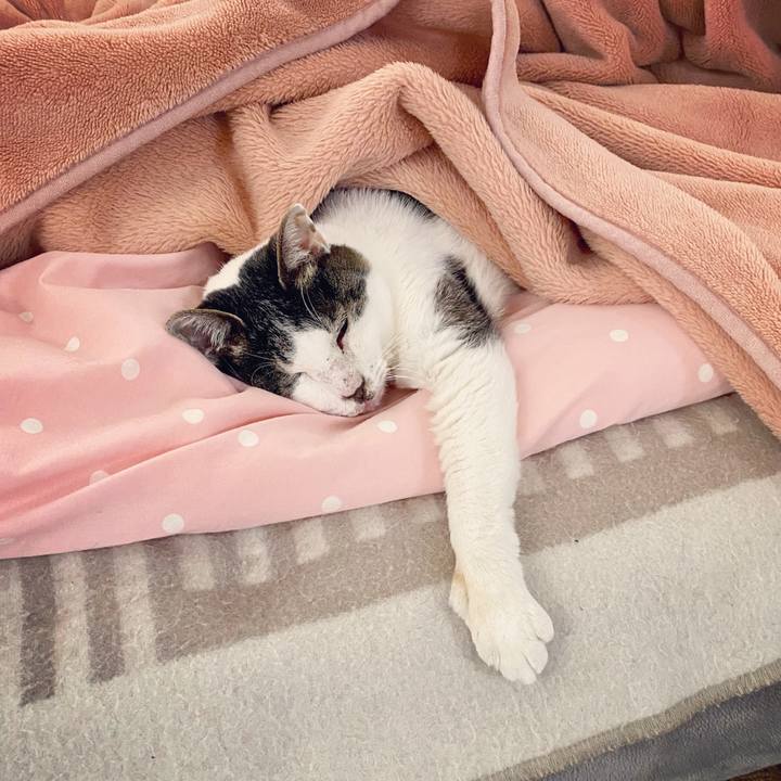 B0b9c6cf 2fdc 4802 bd43 93e73b7b3c86 1587342227905