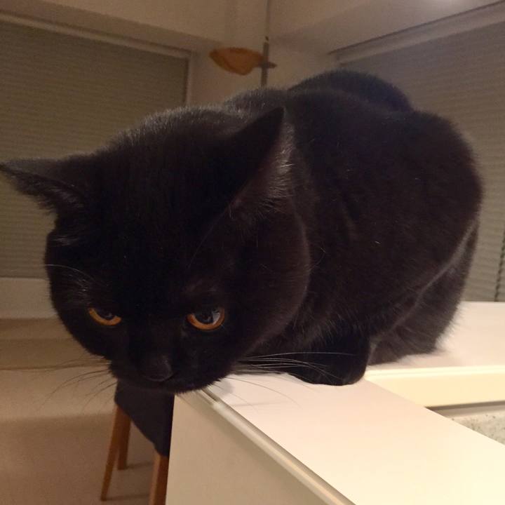 B0b9c7c1 b21a 4d2b 9520 32e25e0450aa 1575036535364