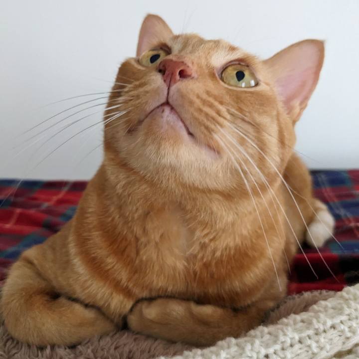 B0b9ccc9 504e 4765 aaed dd893b8e6ffa 1698204587626