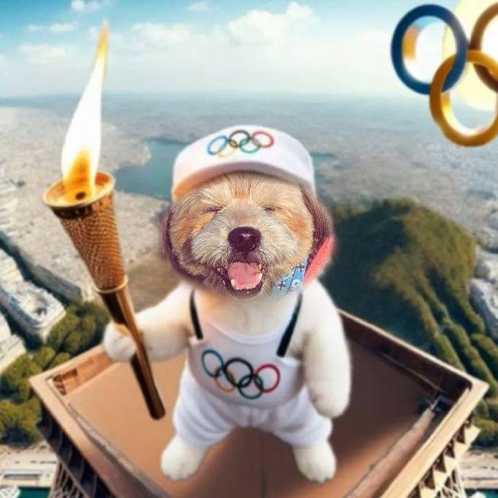 B0ba6068 023e 46b9 beb0 01bbaf860bb5 1722172287915