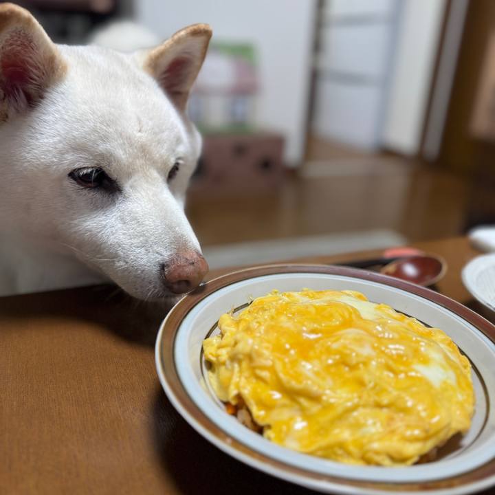 B0ba9359 e9fb 4890 939c 0a14317f5eef 1755083869030