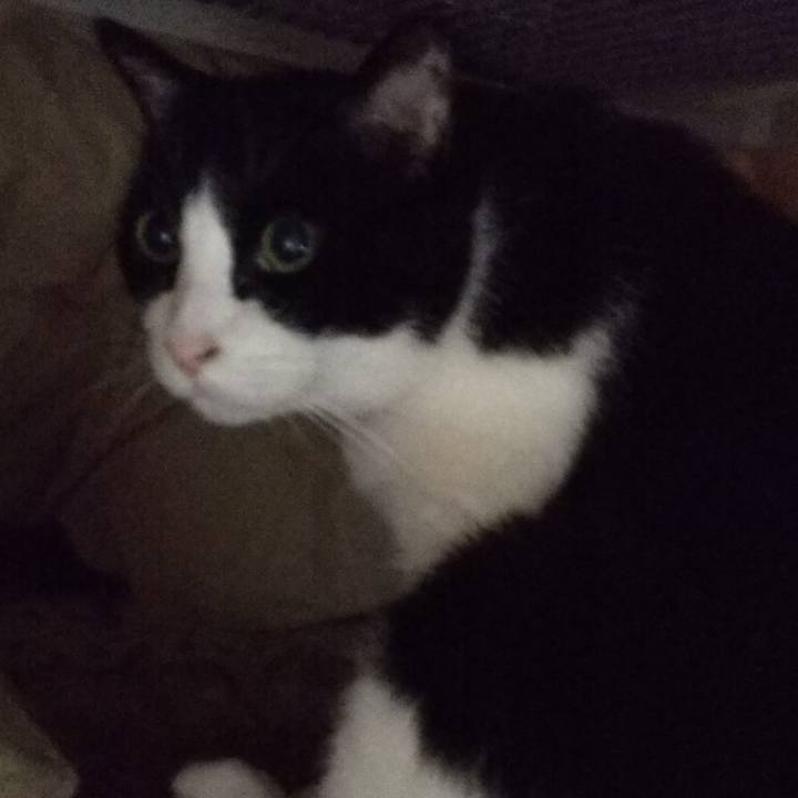 B0ba9615 c334 4ed0 8e76 05d0622d2cdc 1556228859542