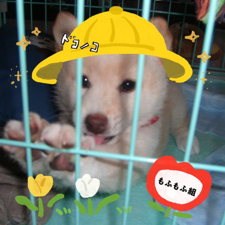 B0baf5af fe07 48fd 96b3 604f817c2d4f 1712247695453