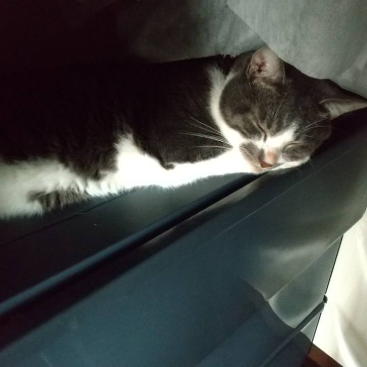 B0baf7a1 15cd 43cf a65c b5cb728eaef4 1626131782725