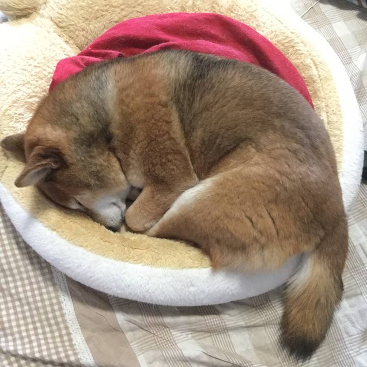 B0bb2d3c e67d 4124 97a3 f7059ba60bfb 1580430781452