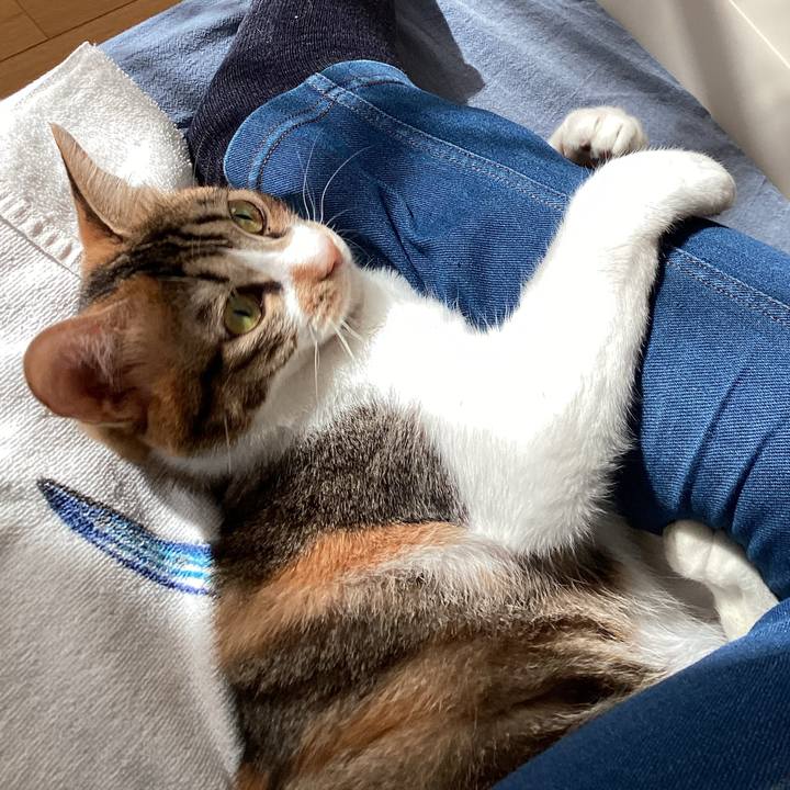 B0bb45fe 33b1 4a22 8e42 0646b62e2513 1677570749117