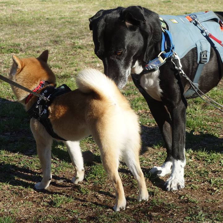 B0bb526c 71d4 4c10 8653 d2011f93c5a1 1711000914472