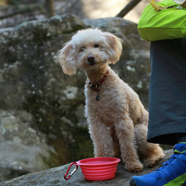 B0bb8566 0b1a 4cd4 8e78 7a4fffce521f 1552553276283