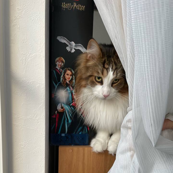 B0bb91da c43c 4657 ab7d c7d5057e8bf1 1682627828182