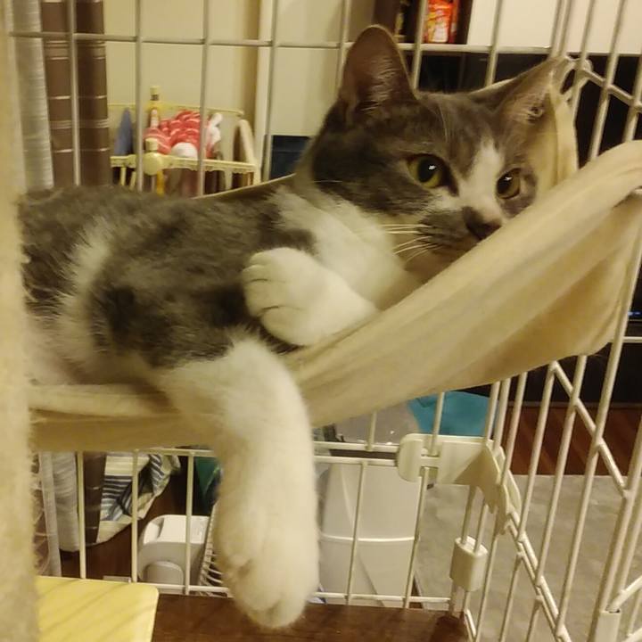 B0bb97bb 9ab5 4a28 a067 e1a06959eccd 1588334083180