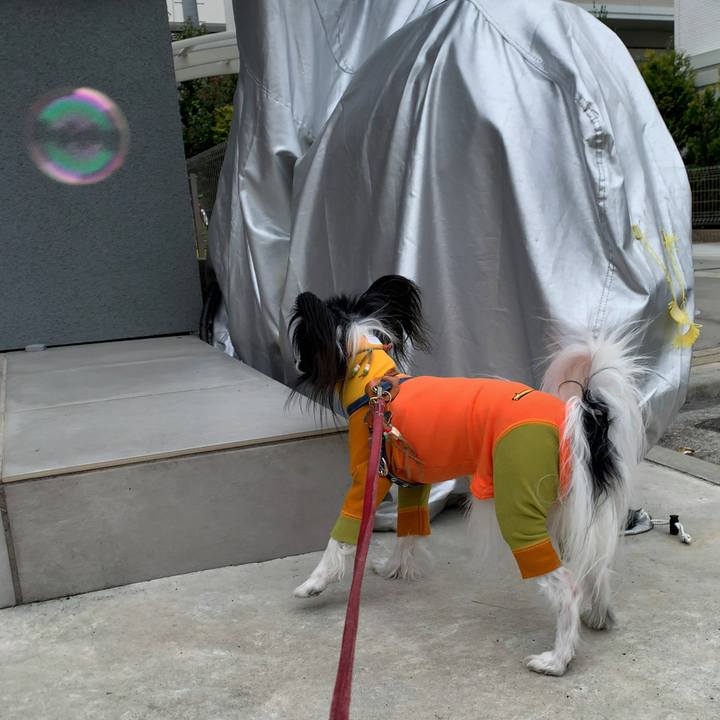 B0bbdc65 a543 4fa5 991d c30399e1441d 1575728360890