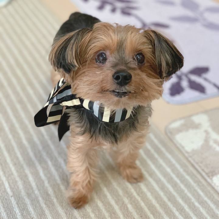 B0bc0619 b127 42da a3f0 193597047b35 1605995503552