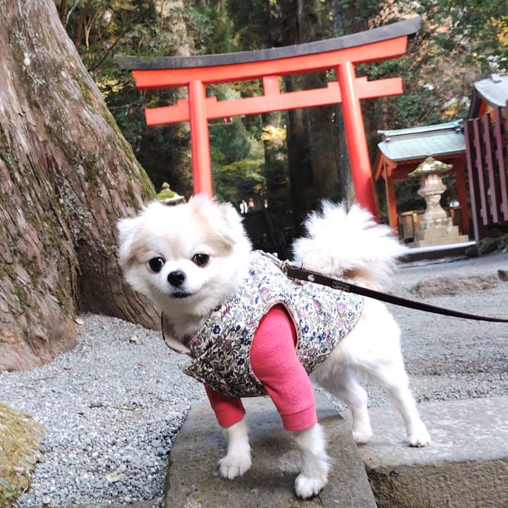 B0bc0caf 373d 4916 962d 309f28db2a09 1764107221339