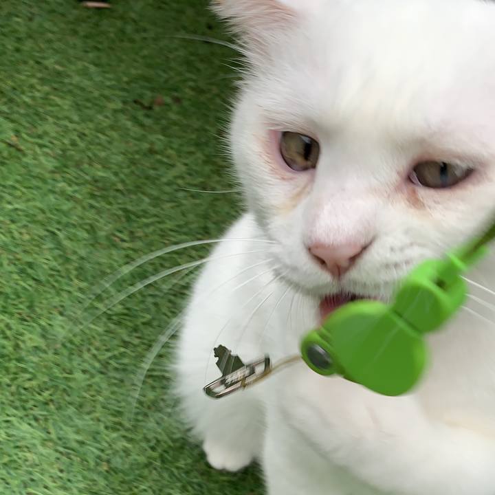 B0bc1805 c7bc 48a5 8ead 77555373ad46 1569838881100