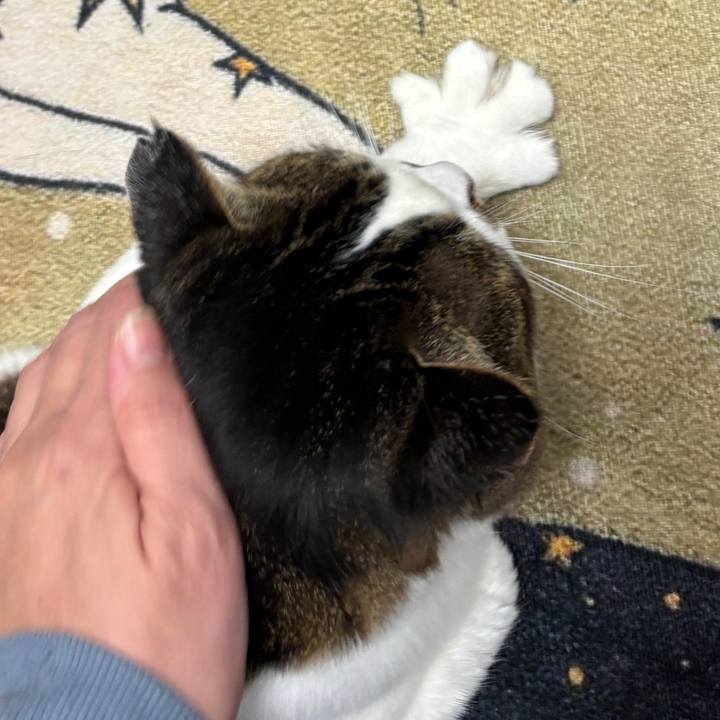 B0bc39ba de2d 450b af71 4e7033f8f01f 1769731139871