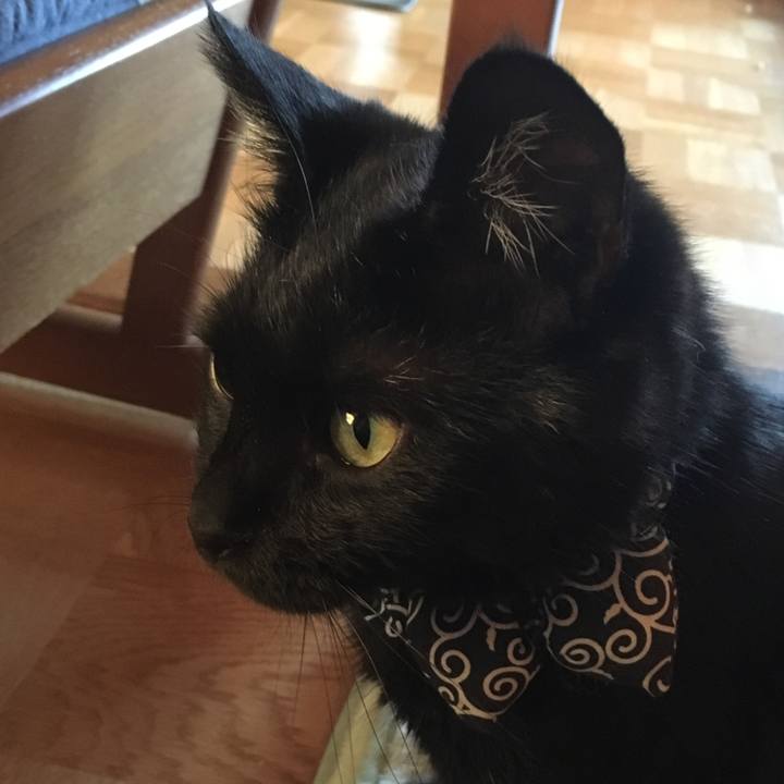 B0bc44a1 1f30 473d 86cc 06a388d49ff1 1536134528053