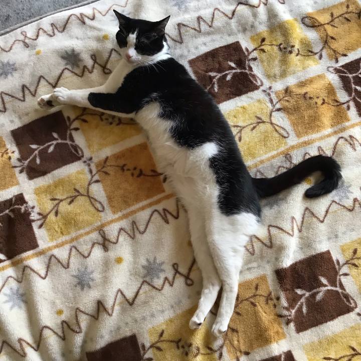 B0bc52fd 7fee 459d b878 4740e52da613 1654156799244