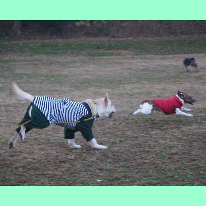 B0bc5ce6 1b13 4369 96b4 a2134f19a443 1607992727031