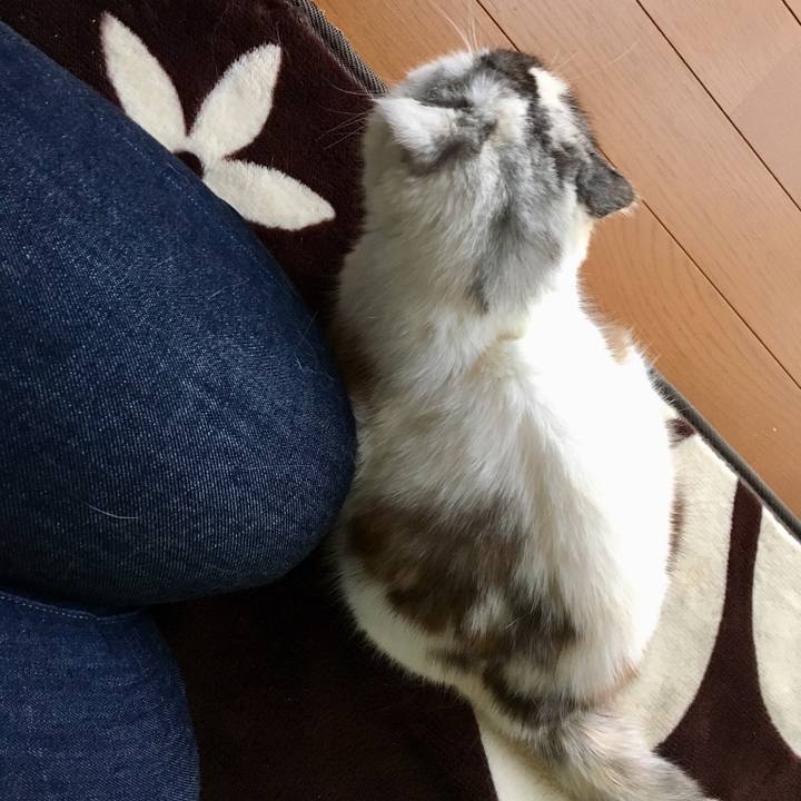 B0bc6f06 e1fe 442a af1f d626e07ab4f3 1520322469661