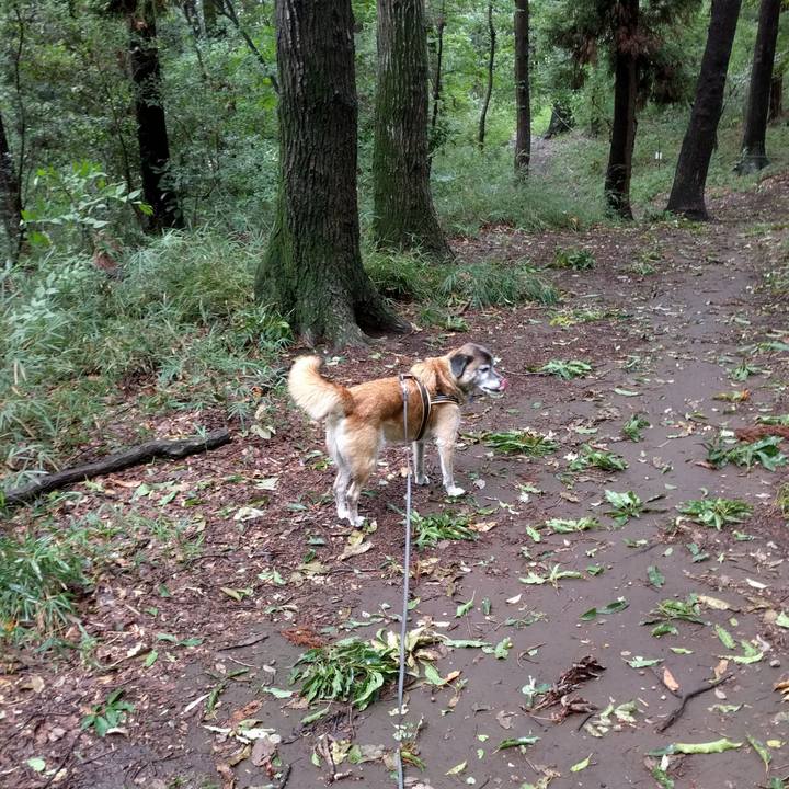 B0bcf0c4 e55f 405b 8281 ca6fa59e23cb 1535069556734