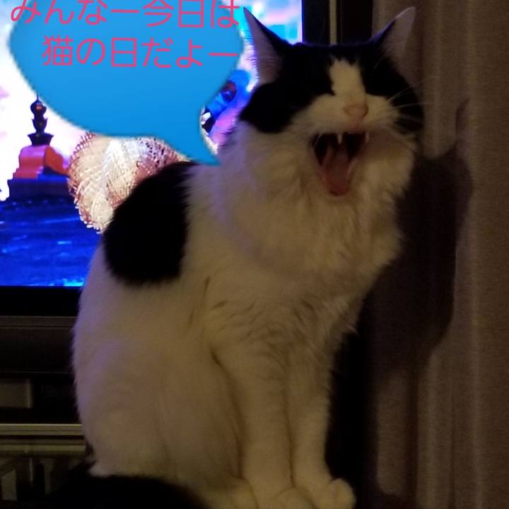 B0bd03af 75d5 416c ae73 10b50d57da81 1582348325757