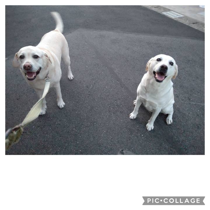 B0bd8235 d3b2 4222 927c 20b68b29bce4 1695641150456