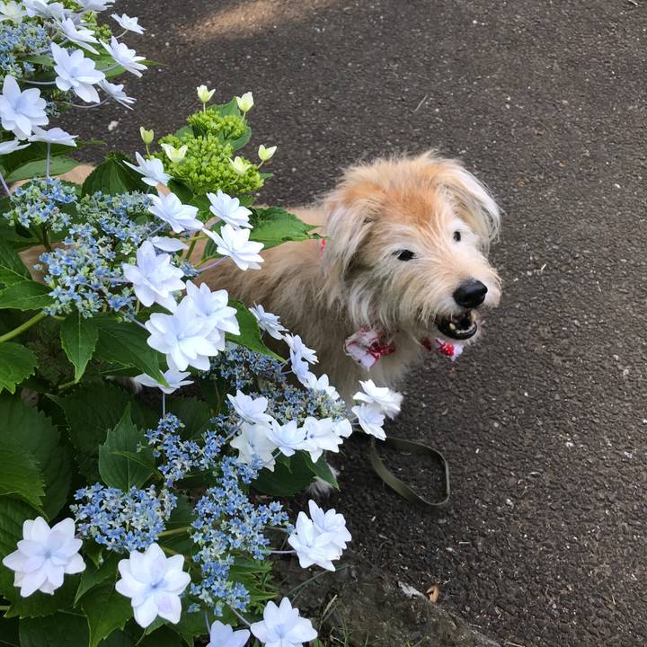 B0bda4f0 0675 4100 88b5 545629b88a45 1623190890061