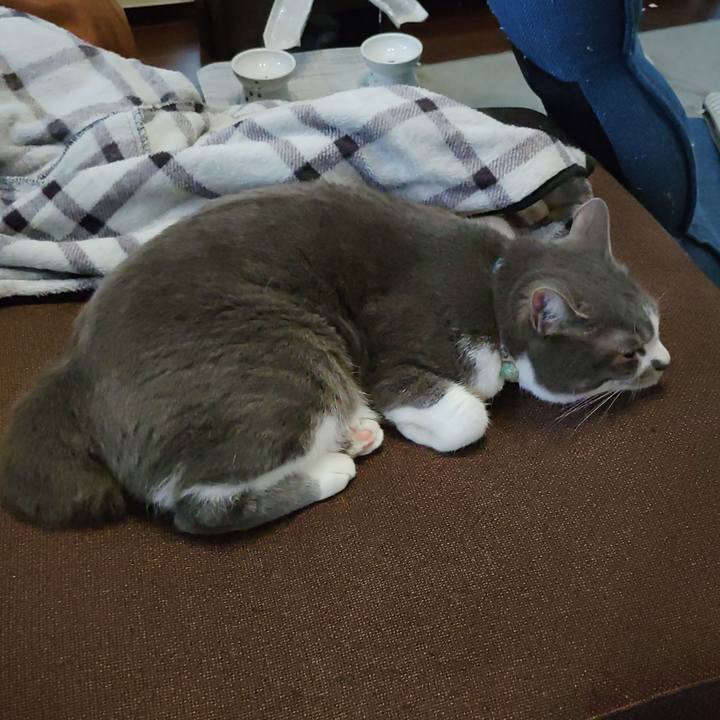 B0bdd2b6 5fc8 4b2d 9f25 c82a14731de2 1715059198146