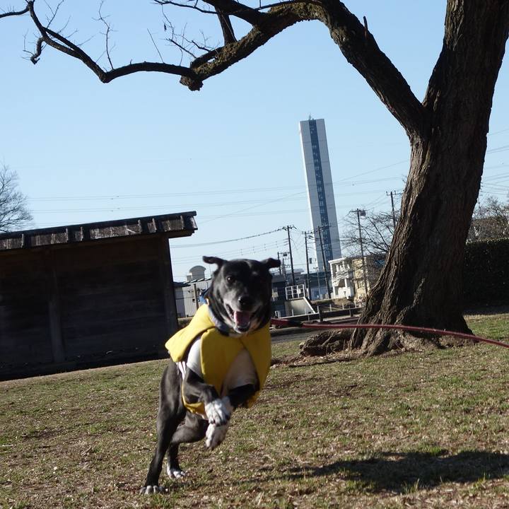 B0beaff5 8e87 4690 9402 83fc79ce0fb3 1741567893931