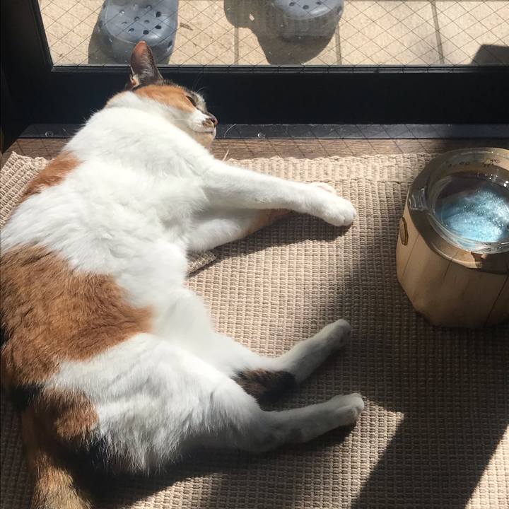 B0beb4e6 95c4 44af b77a 8c5418b575d6 1663862158524