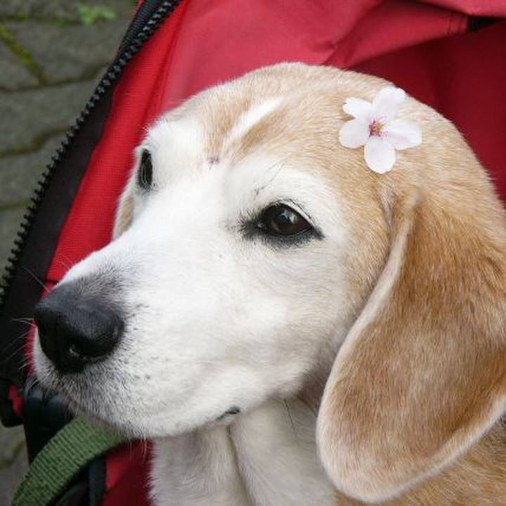 B0bee249 87b7 42e9 97db 16f3e8d039b5 1680486266601