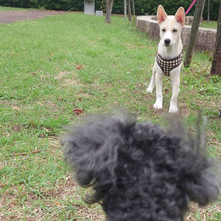 B0bf05cf 1d74 4050 a37b f5db2b922654 1758584067700