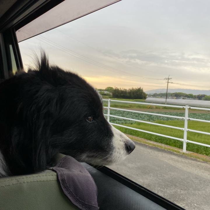 B0bf1bb7 cab7 41ce 821c 4653d44e6f4f 1681423509239