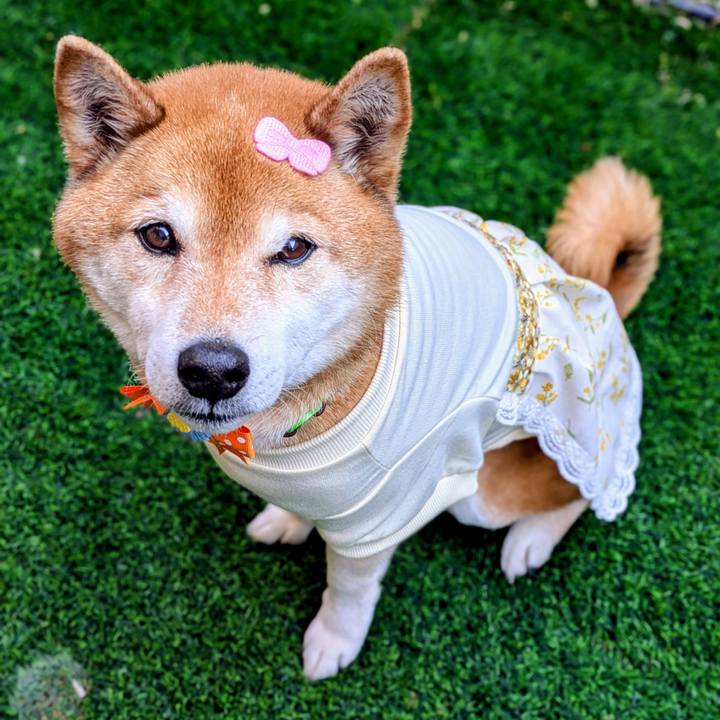 B0bf3153 fc35 48f3 8b74 5ab61662e516 1773475686828