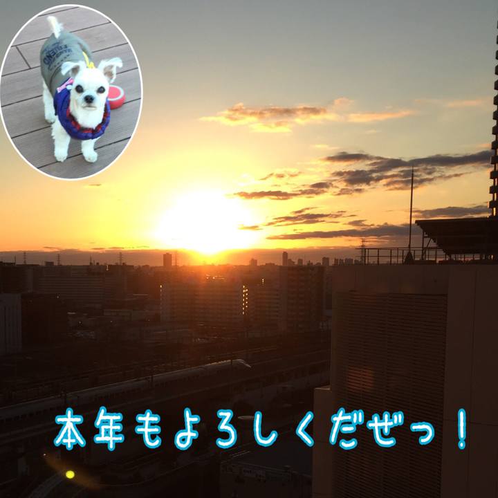 B0bf34ed 9888 45dc b959 41505bd7a375 1546315698237