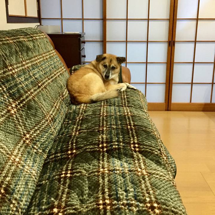 B0bf57af e5ac 442b 843f 8fa90d82f330 1574635533348