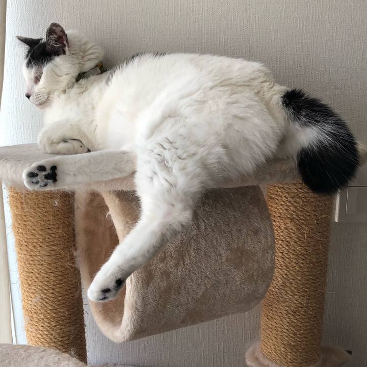 B0bf975c 8cac 46e1 85e2 e64175ef82f2 1558913026534