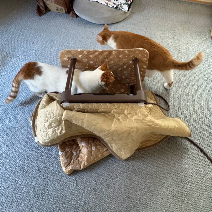 B0bfa6f5 3ef4 4b50 9042 c987013e555a 1765161610259